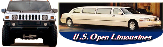mobile limo service